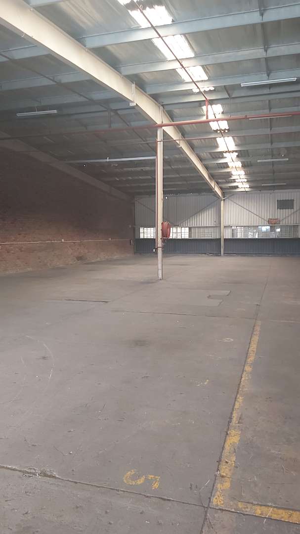 To Let Commercial Property for Rent in Wilsonia Eastern Cape